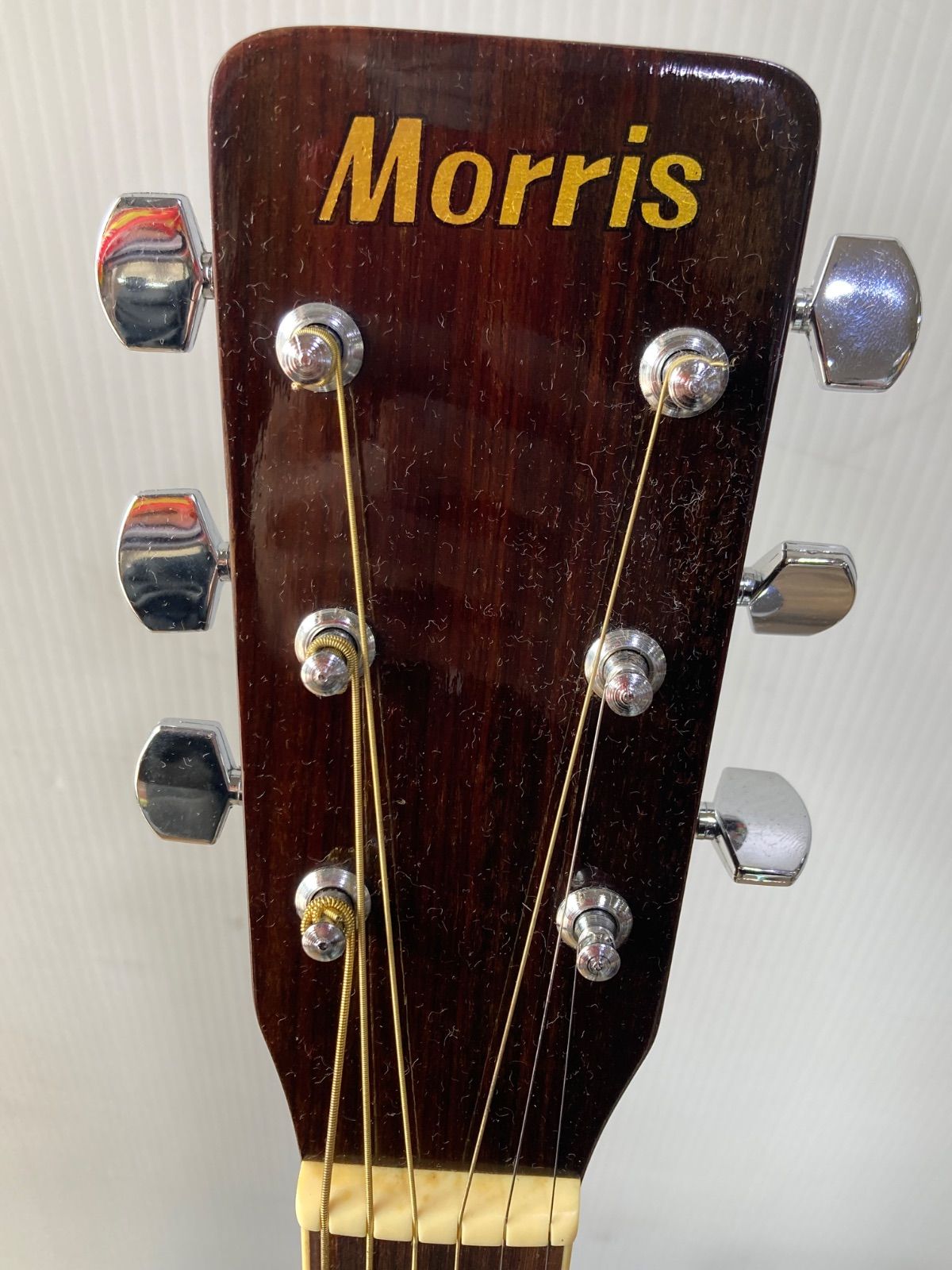 Morris モーリス MD-506 アコースティックギター - メルカリ