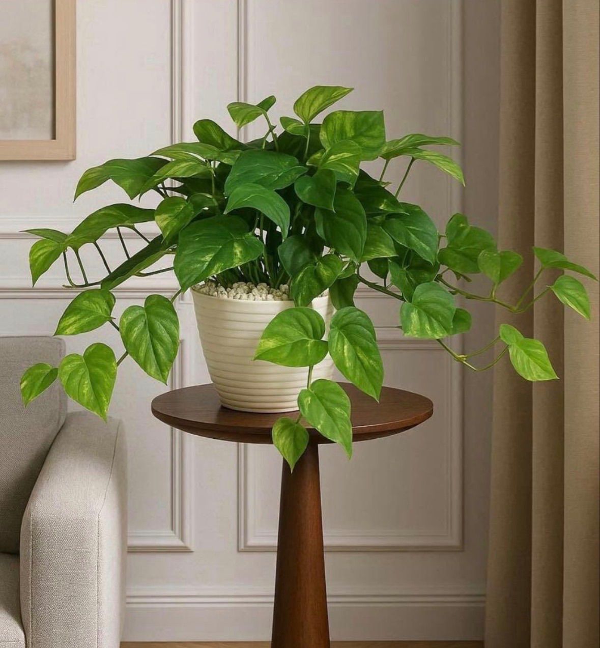 光触媒 人工観葉植物 ウォールグリーン フェイクグリーン シーグレープ