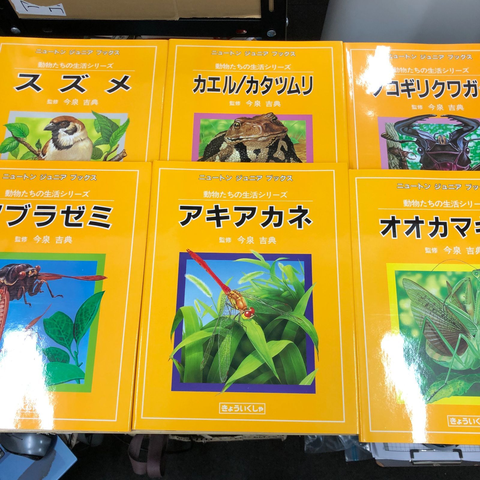 【レア】ニュートンジュニアブックス全20巻 レア】ニュートンジュニアブックス全20巻 【公式通販】