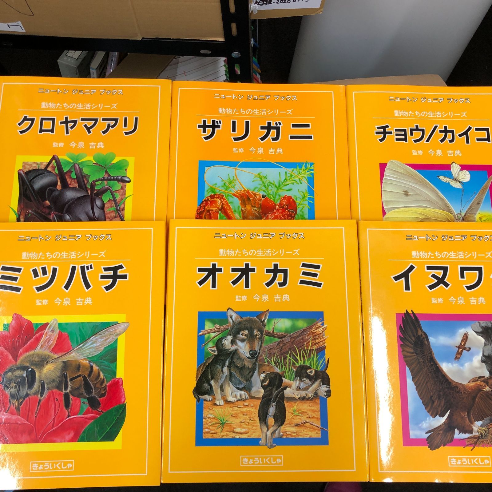 レア】ニュートンジュニアブックス全20巻 レア】ニュートンジュニア