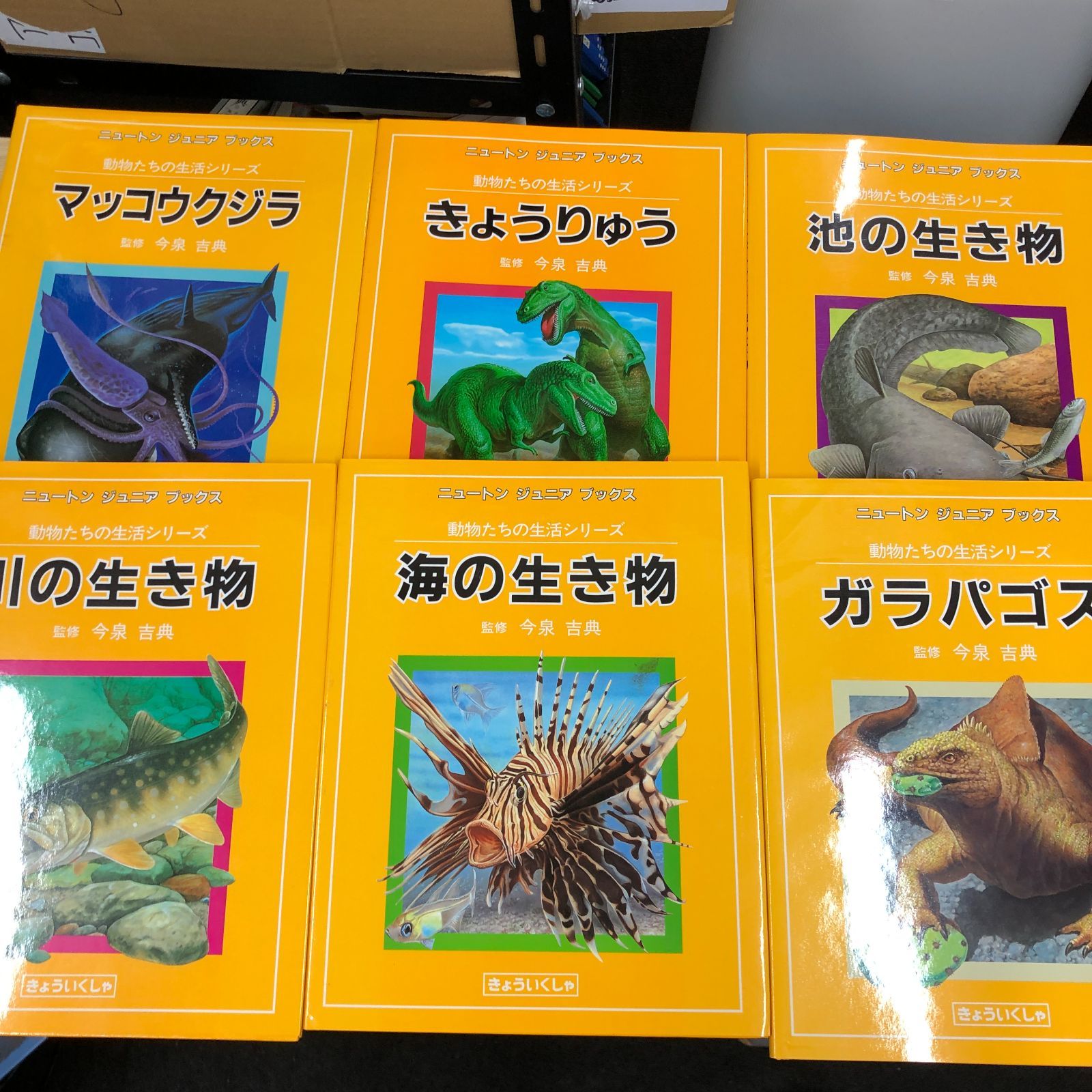 レア】ニュートンジュニアブックス全20巻 レア】ニュートンジュニア