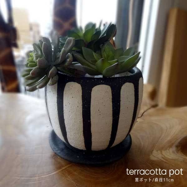 植木鉢 プランター 黒ポット おしゃれ モダン 鉢 陶器 テラコッタ