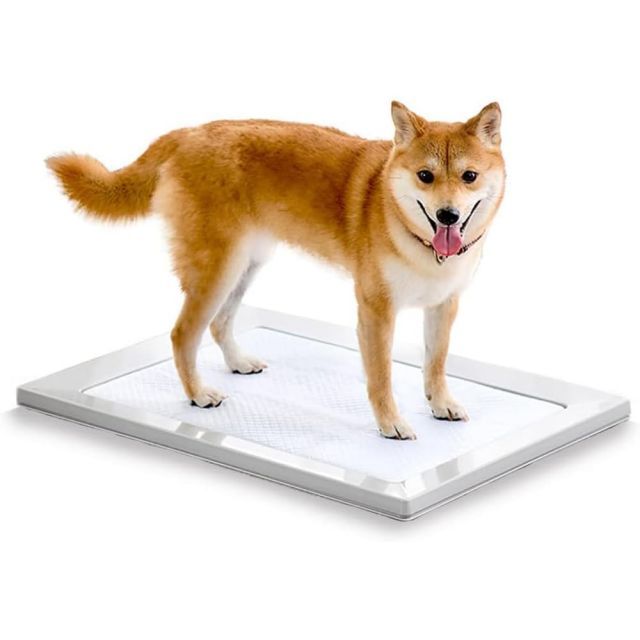 【送料無料】アイリスオーヤマ 犬 トイレ しつけ おしゃれ スクエアドッグトレー 挟むだけ マグネット レギュラー ホワイト 水洗い可