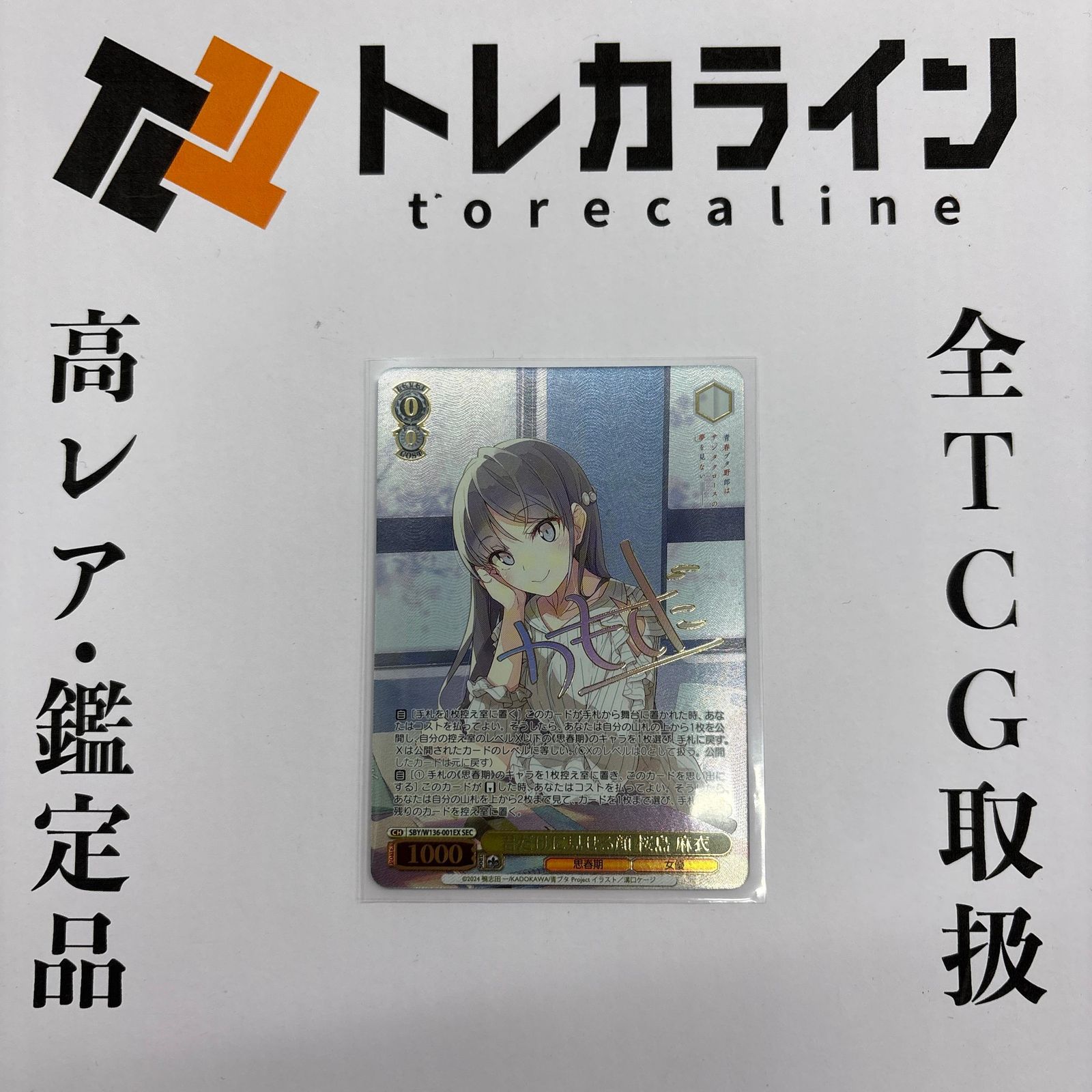 ヴァイス 君だけに見せる顔 桜島麻衣 SEC 青ブタサンタクロースの夢を