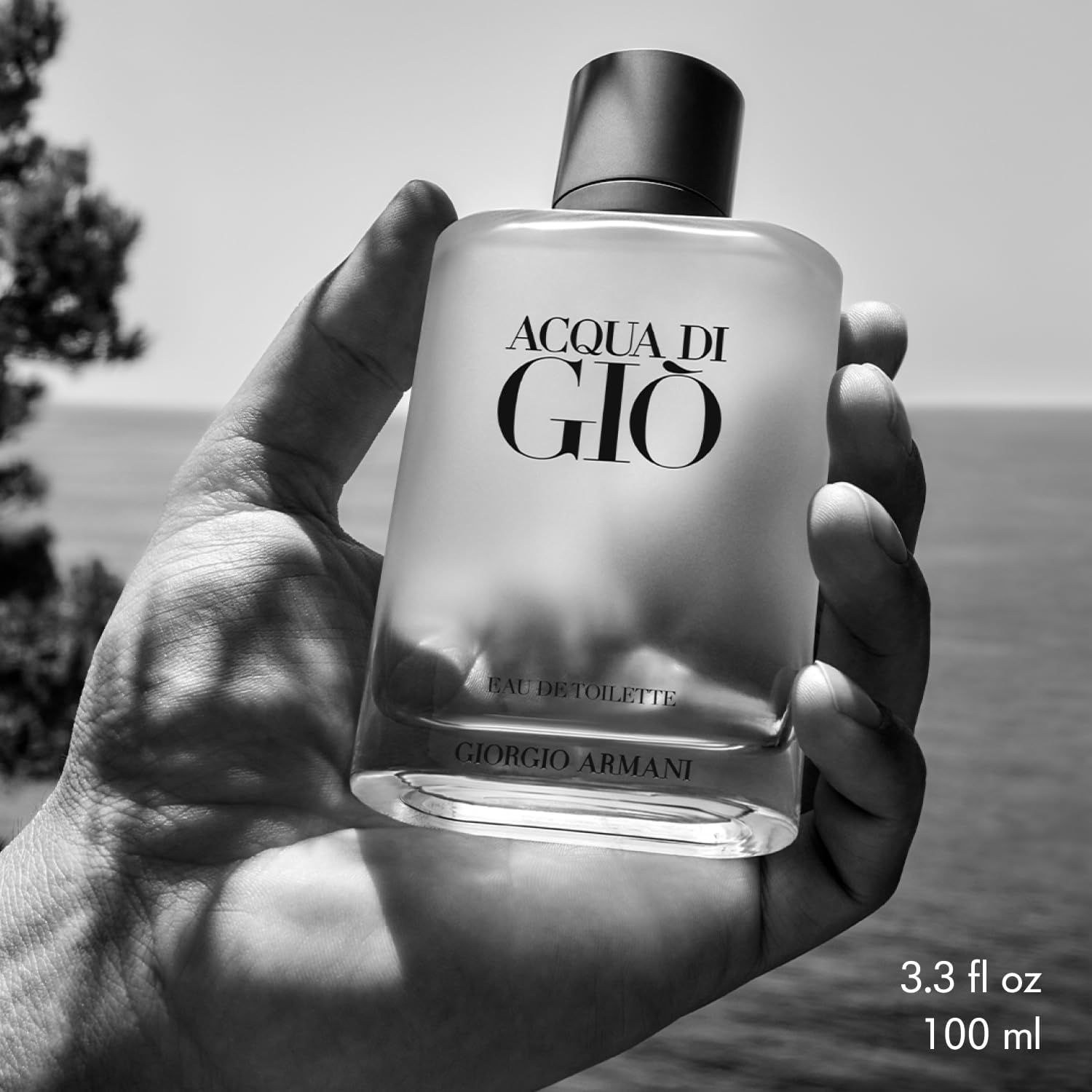 ジョルジオアルマーニ アクア ディ ジオ プールオム EDT 100ml 