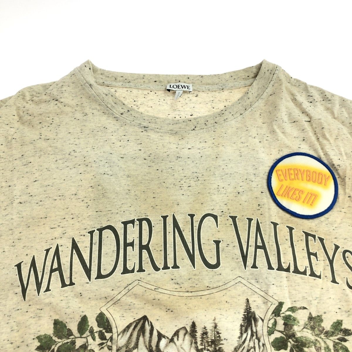 LOEWE ロエベ 半袖カットソー サイズ:L Tシャツ WANDERING VALLEYS 