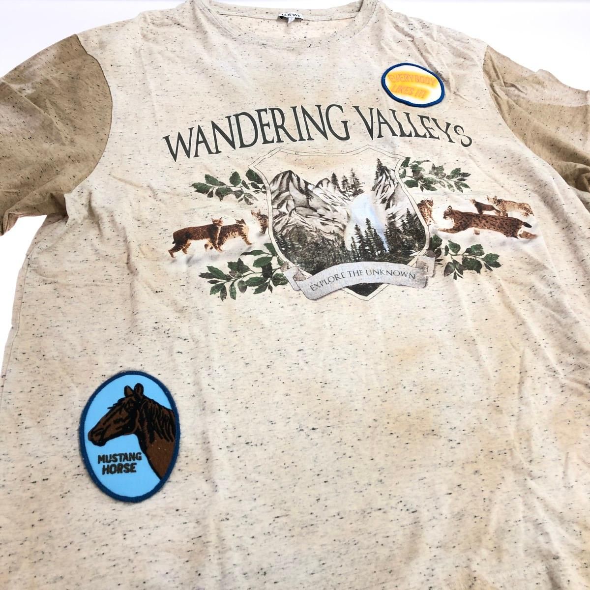 LOEWE ロエベ 半袖カットソー サイズ:L Tシャツ WANDERING VALLEYS 