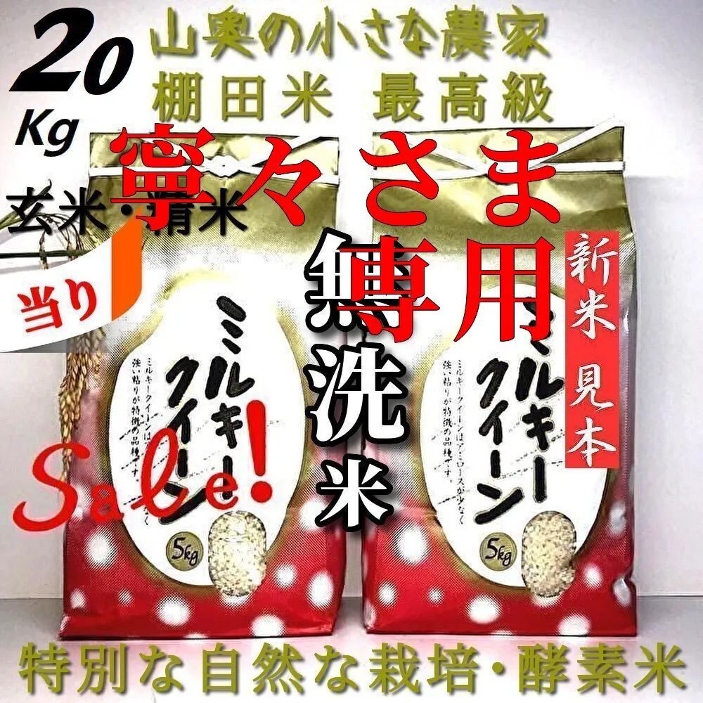 令和7年栃木産ミルキークイーン無洗米 内容量10kg（玄米約11kgを精米