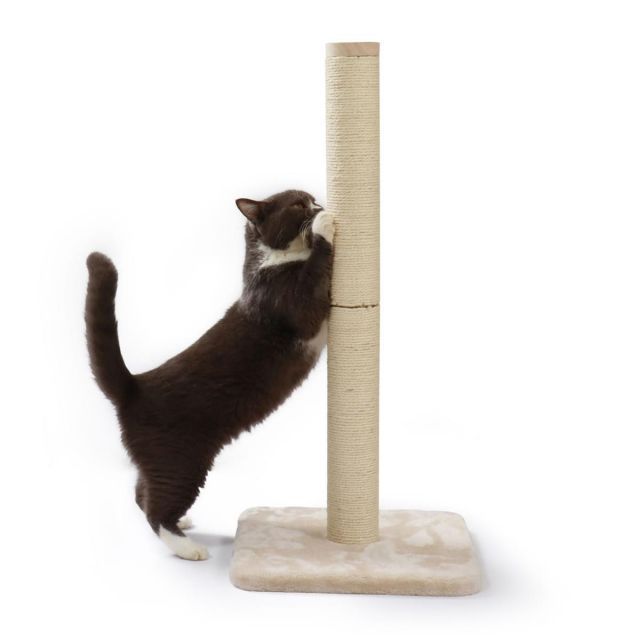 猫壱 バリバリ つめとぎ ポール 麻 L 本体