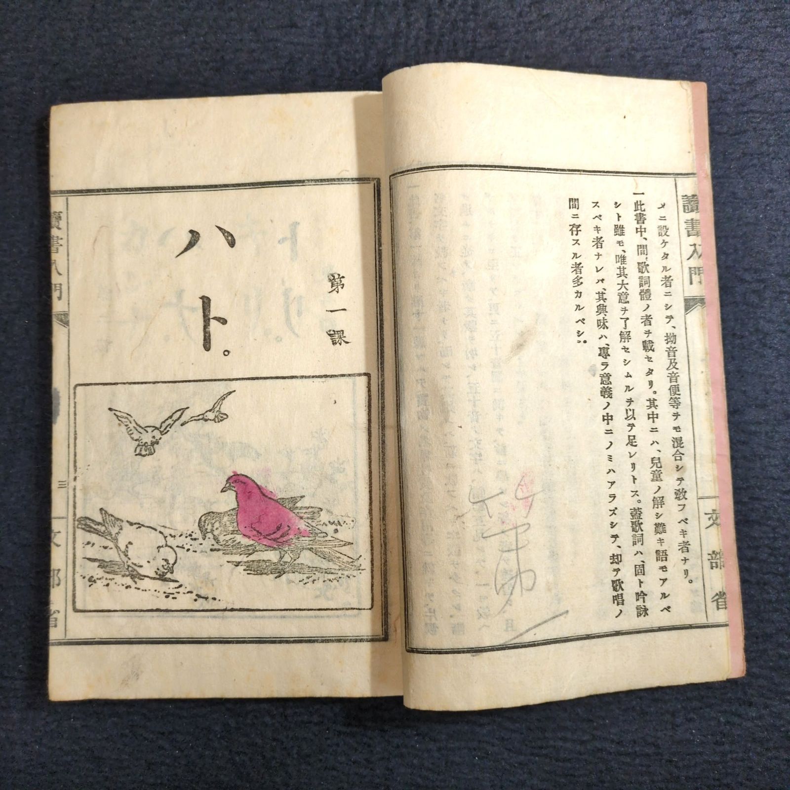 絵入◇読書入門◇教科書 平仮名 カタカナ 言語 国語 教科書 明治時代物