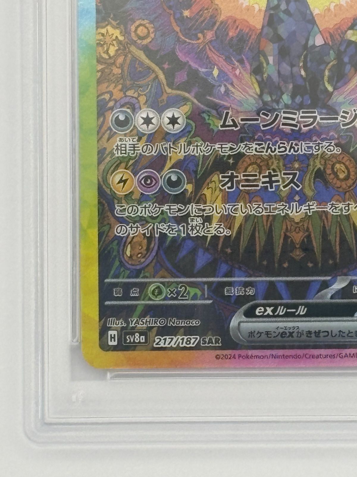 SAR ブラッキーex PSA10 217⁄187 テラスタルフェスex SV8a PSA10 