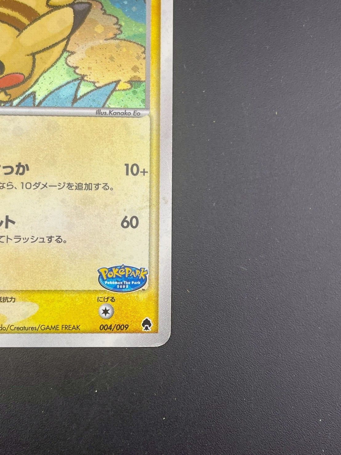 ポケパークのピカチュウ ポケパークプレミアムファイル 004/009 【公式