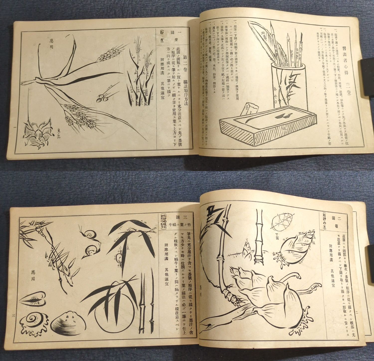 絵手本 絵入絵本◇実験独習 毛筆画図解◇花鳥 金魚ほか 筆法 書画 画譜
