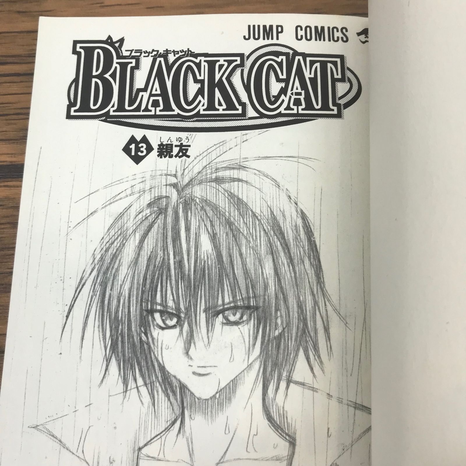BLACK CAT 13巻/【作者】矢吹健太朗/GF-0226021945-YP/GF53151 - メルカリ