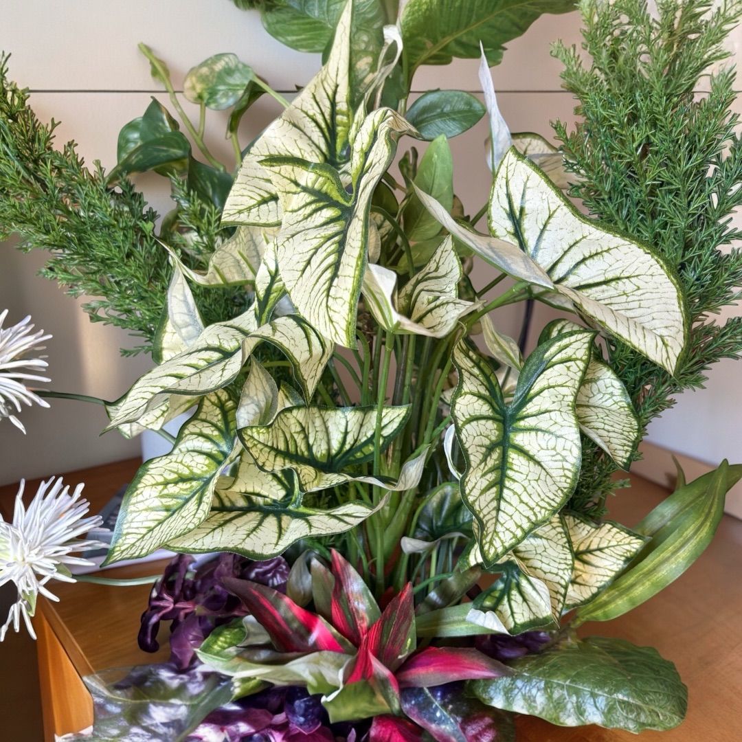 光触媒 人工観葉植物 ウォールグリーン フェイクグリーン カラジューム 