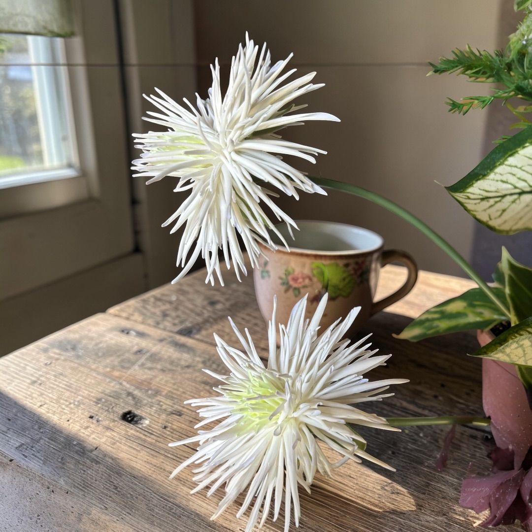 光触媒 人工観葉植物 ウォールグリーン フェイクグリーン カラジューム 
