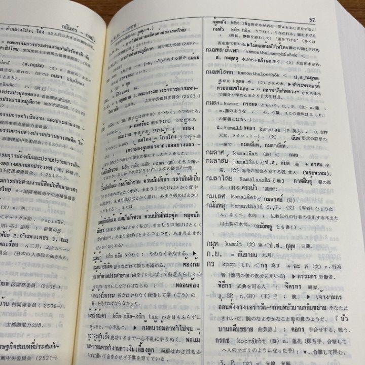 △01)【1点限り!】【除籍本】タイ日辞典/富田竹二郎/養徳社/1987年/A
