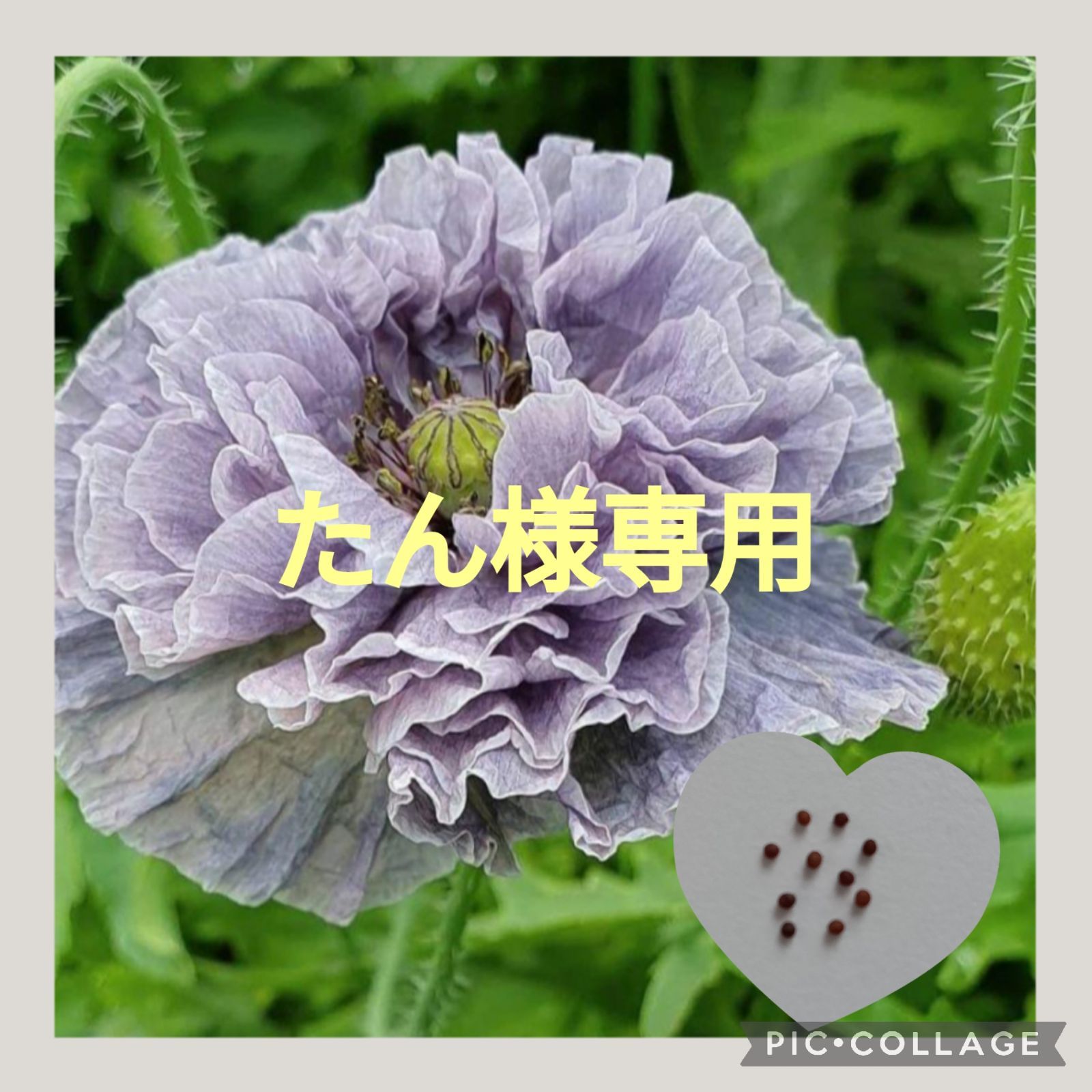 月末セール❗️激レア‼️ソビエト アンティーク 大きなチェブラーシカ
