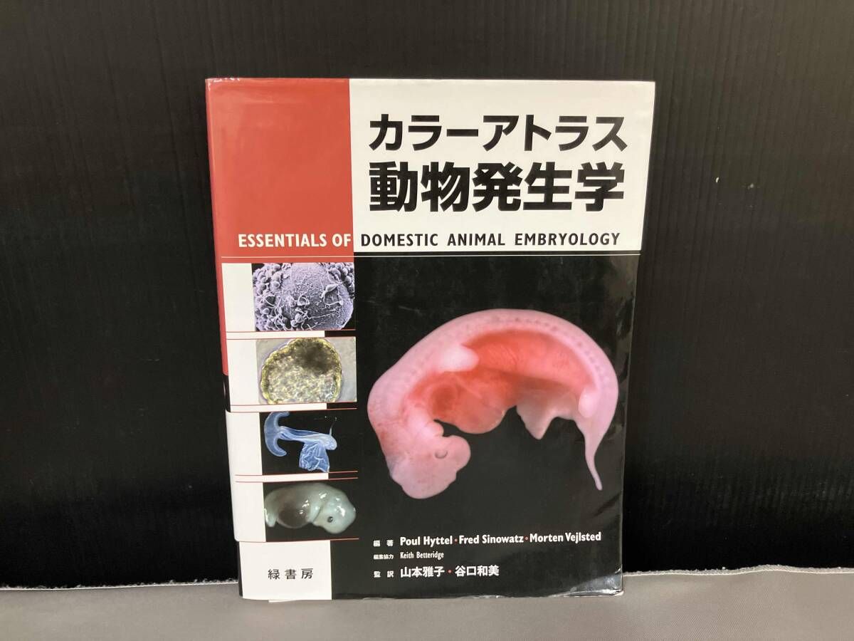 書き込みマーカー多数あり/ カラーアトラス 動物発生学 ポウル 