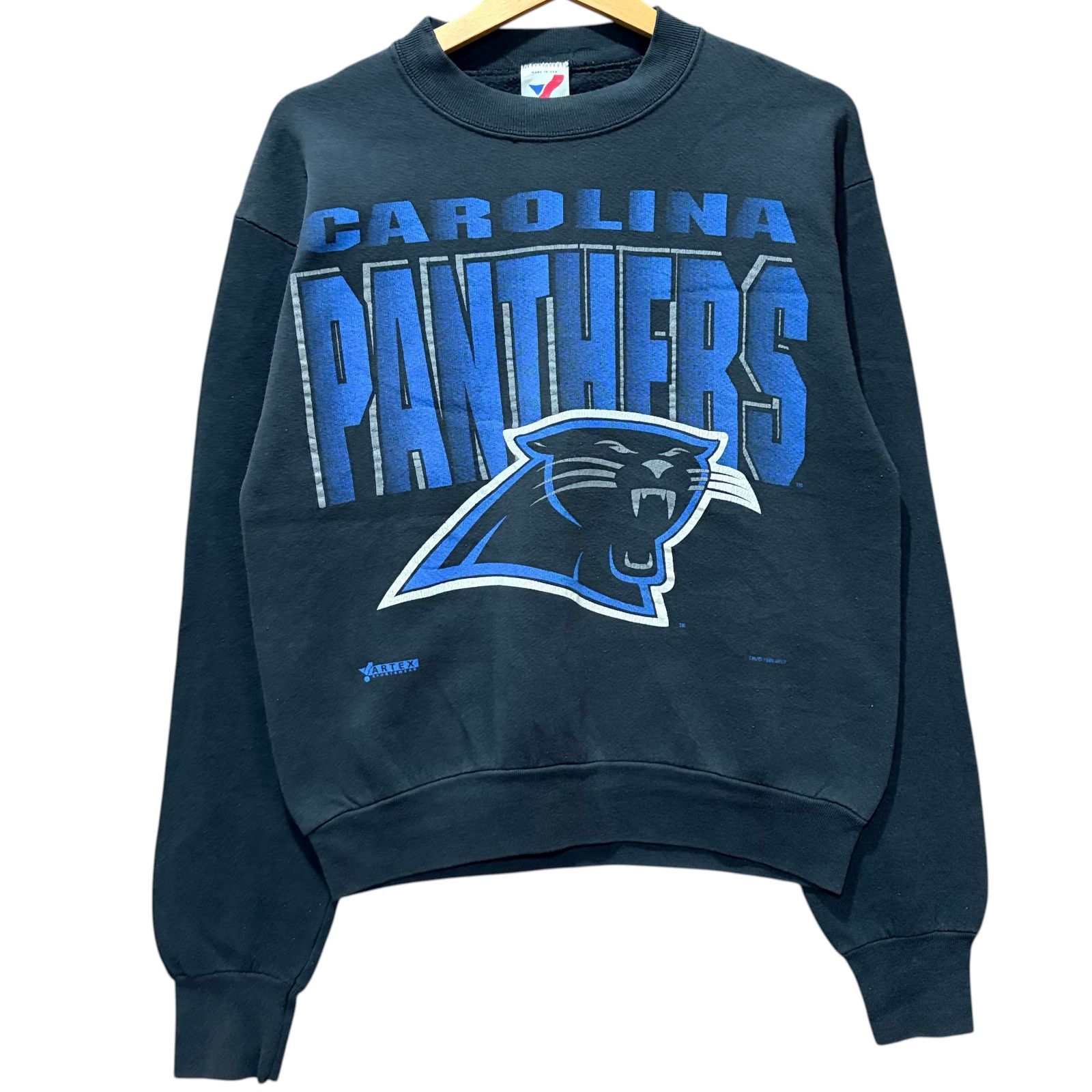 90's ヴィンテージPANTHERS RB34 立命館 アメフトスエット XL 90's