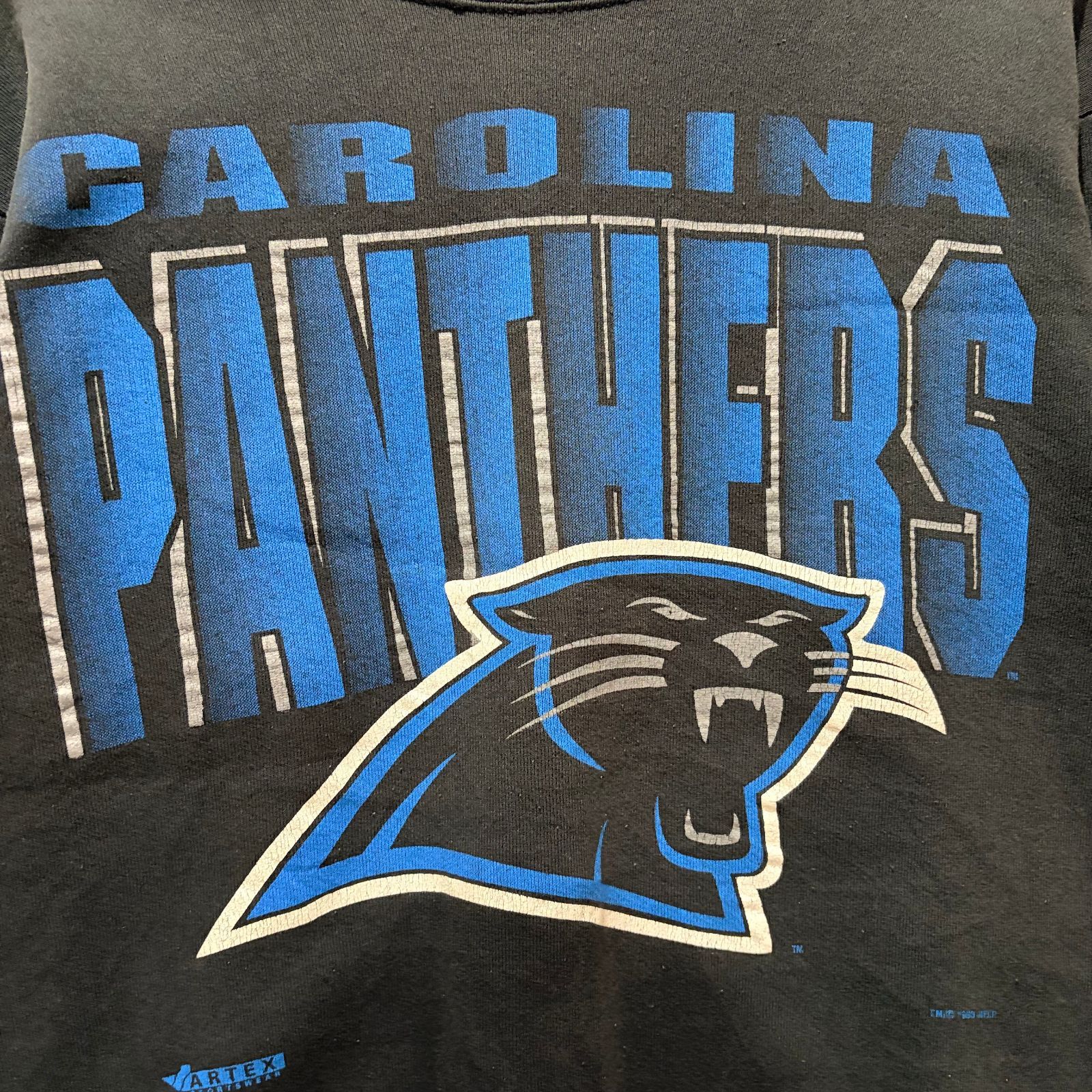 90's ヴィンテージPANTHERS RB34 立命館 アメフトスエット XL 90's