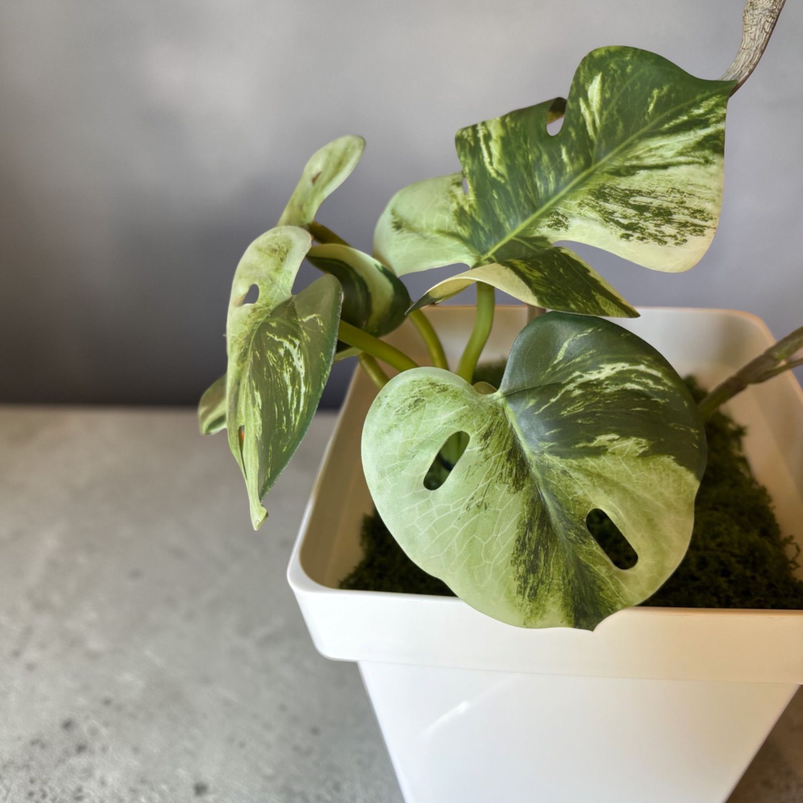 光触媒 人工観葉植物 ウォールグリーン フェイクグリーン パキラと 