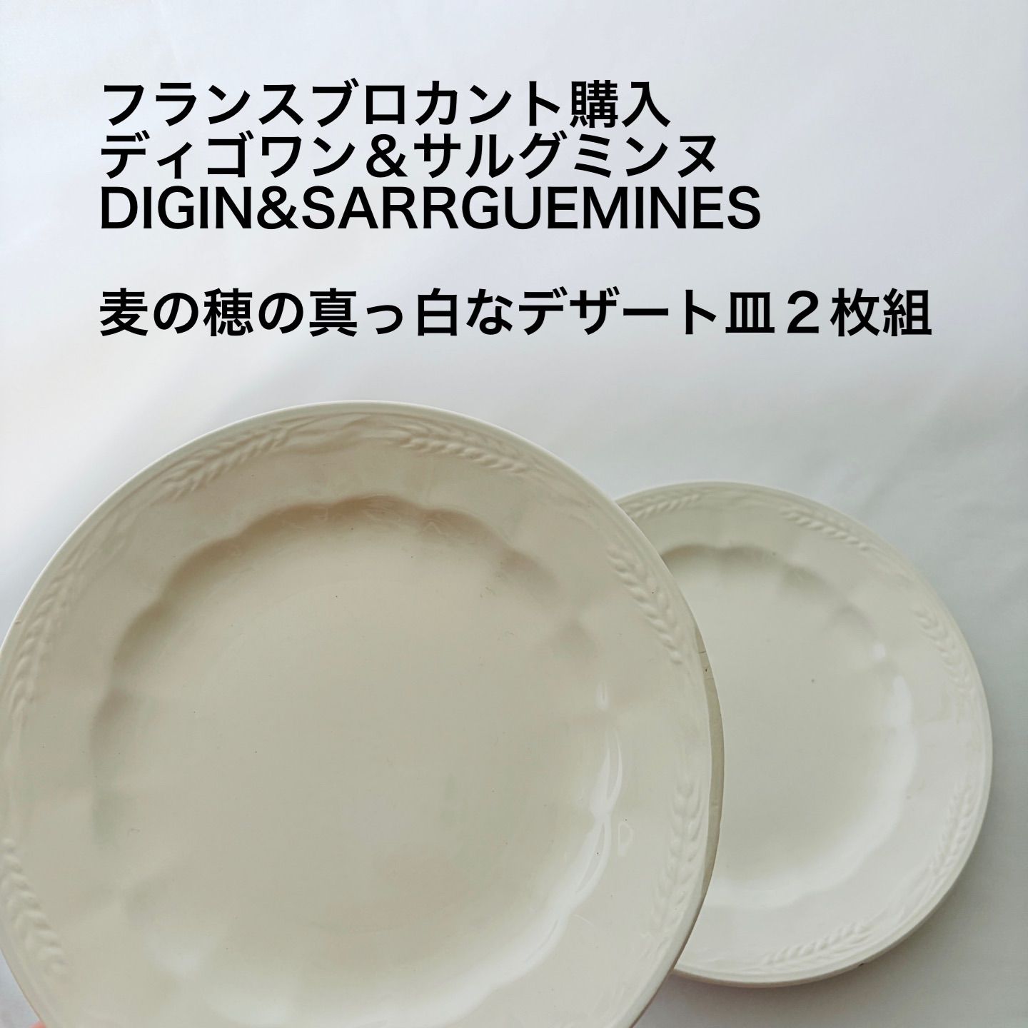 フランスブロカント購入/ディゴワン＆サルグミンヌ