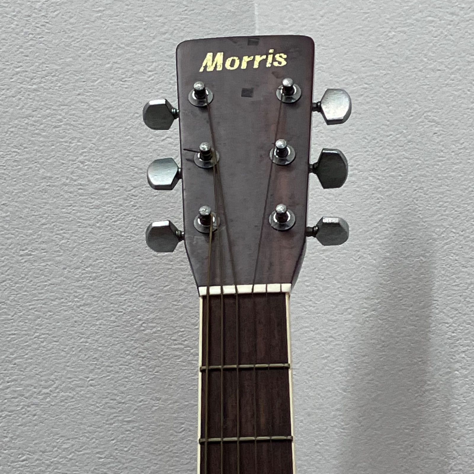 O アコースティックギター Morris モーリス MD-505 - メルカリ