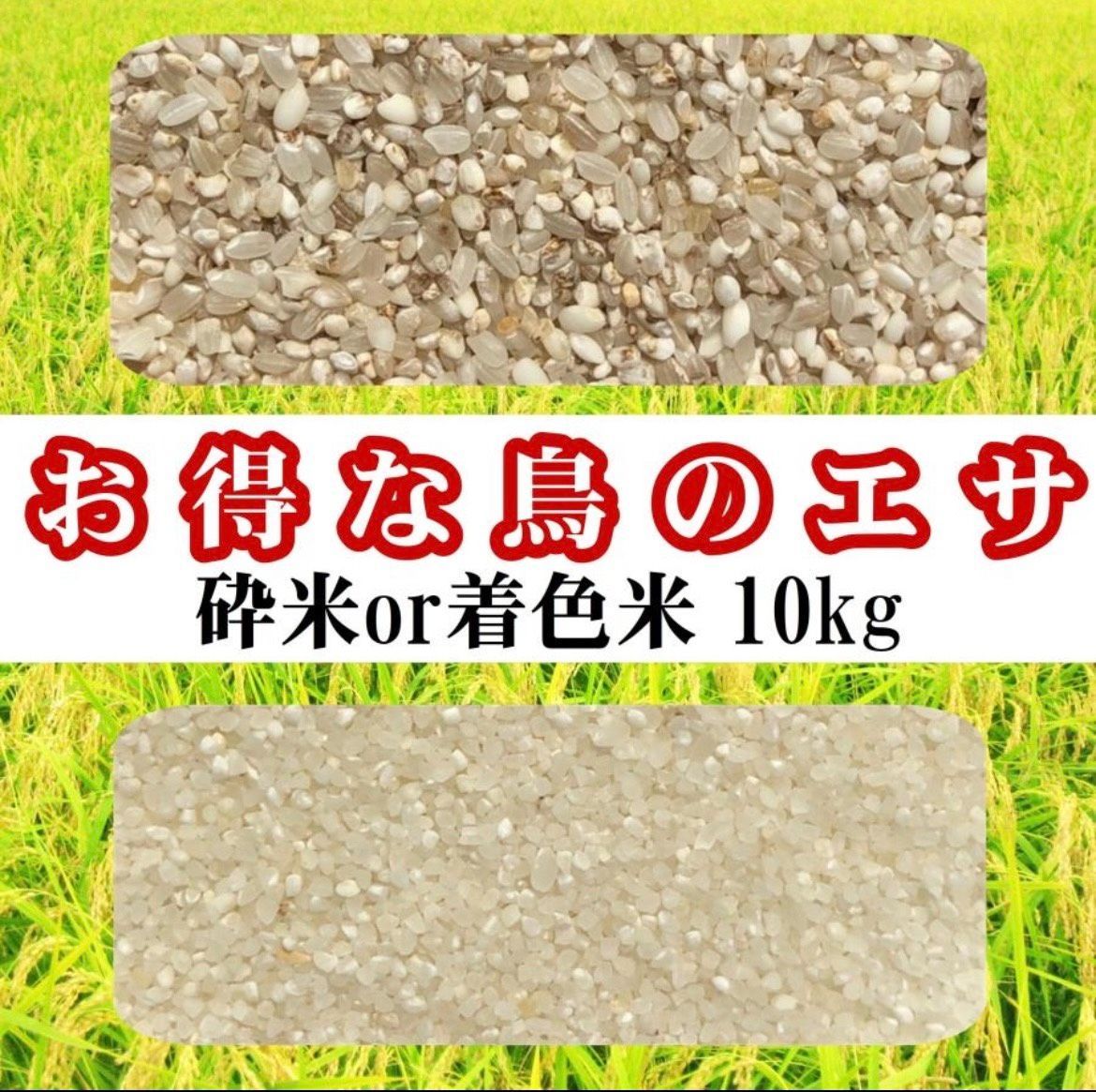 鳥餌 小動物 砕米10kg×2 （20キロ） 鳥の餌用 10kg 砕米 色選落ち 米 送料無料 - メルカリ