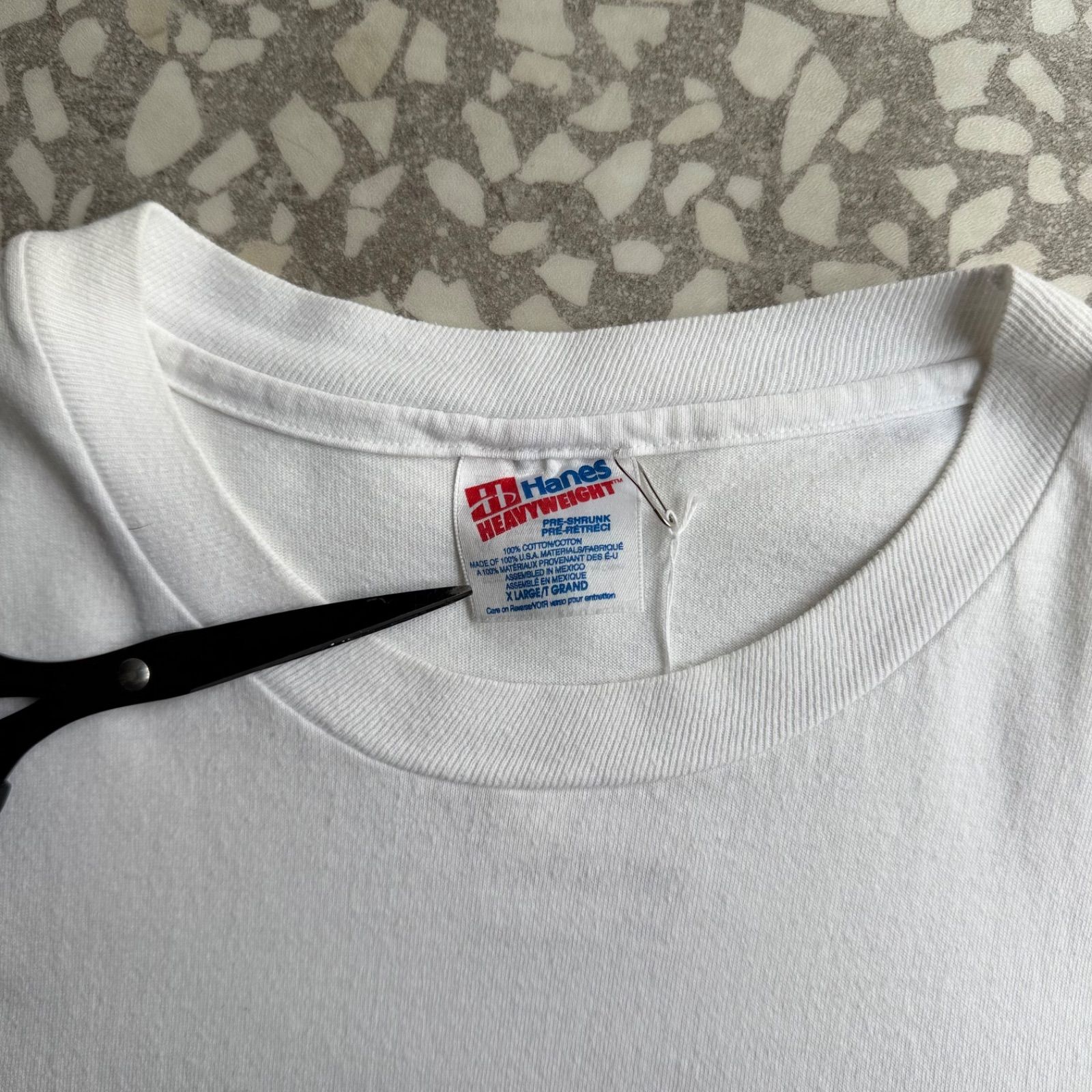 Hanes / 90's APPLE NEWTON T-shirt size M ヘインズ バックプリント