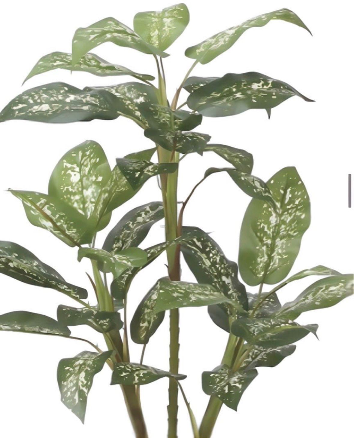 光触媒 人工観葉植物 ウォールグリーン フェイクグリーン 