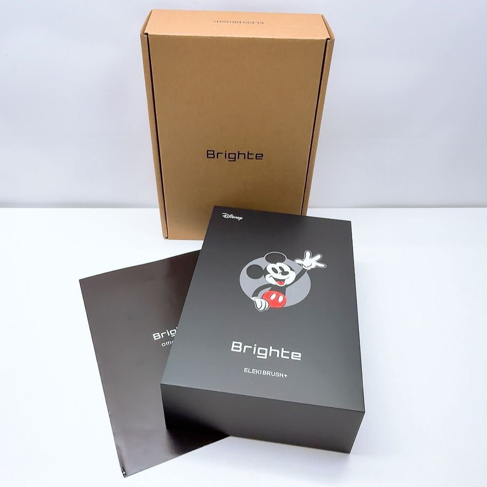 最新モデル?ほぼ未使用》 Brighte ELEKIBRUSH ＋ ブライト エレキ
