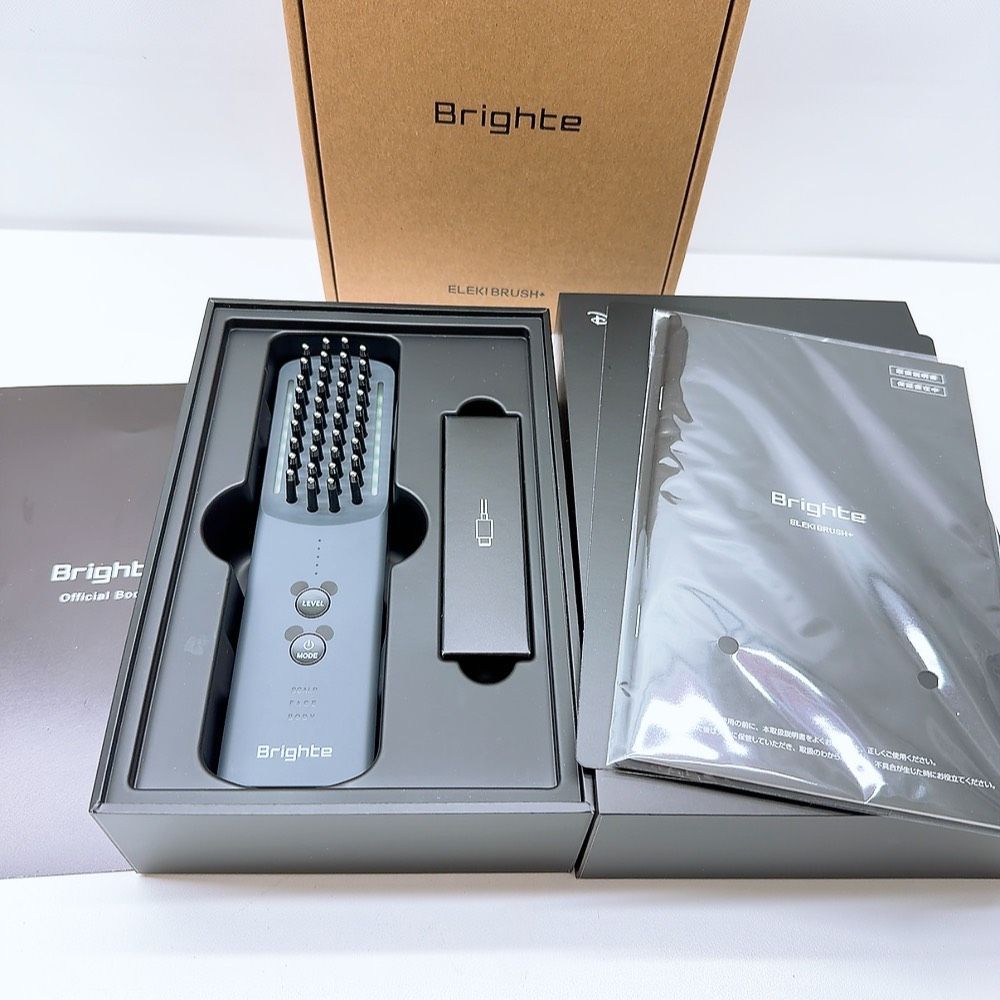 最新モデル?ほぼ未使用》 Brighte ELEKIBRUSH ＋ ブライト エレキ