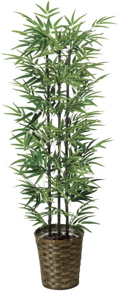 新品 光触媒 人工観葉植物 光の楽園 黒竹 1.35m 178A230