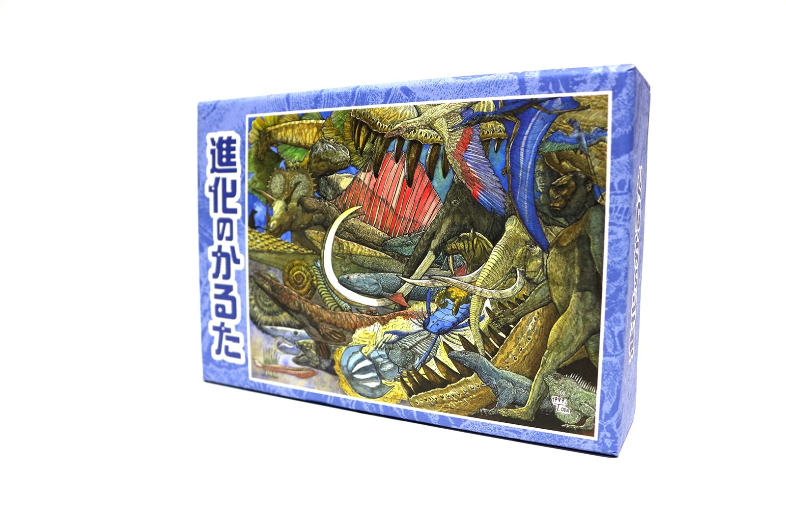 新品 進化のかるた