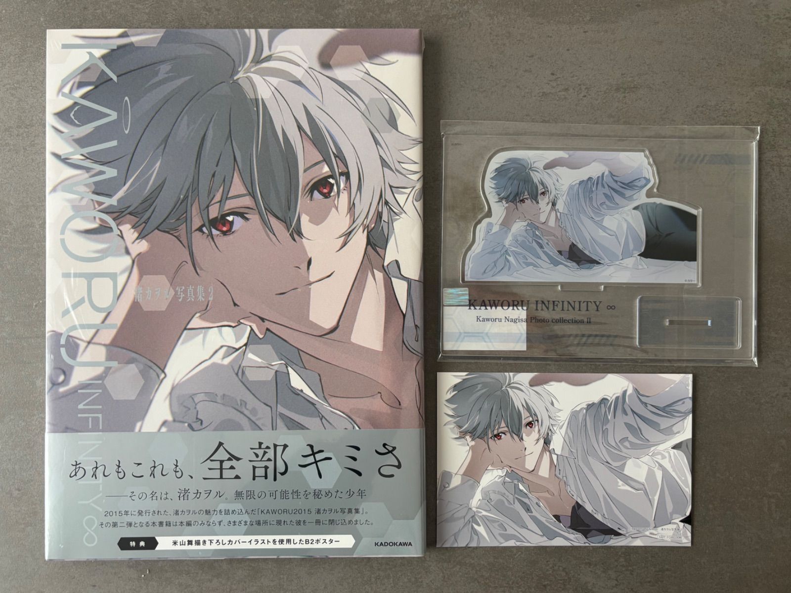 KAWORU INFINITY∞ 渚カヲル写真集 2 有償特典アクリルスタンド付