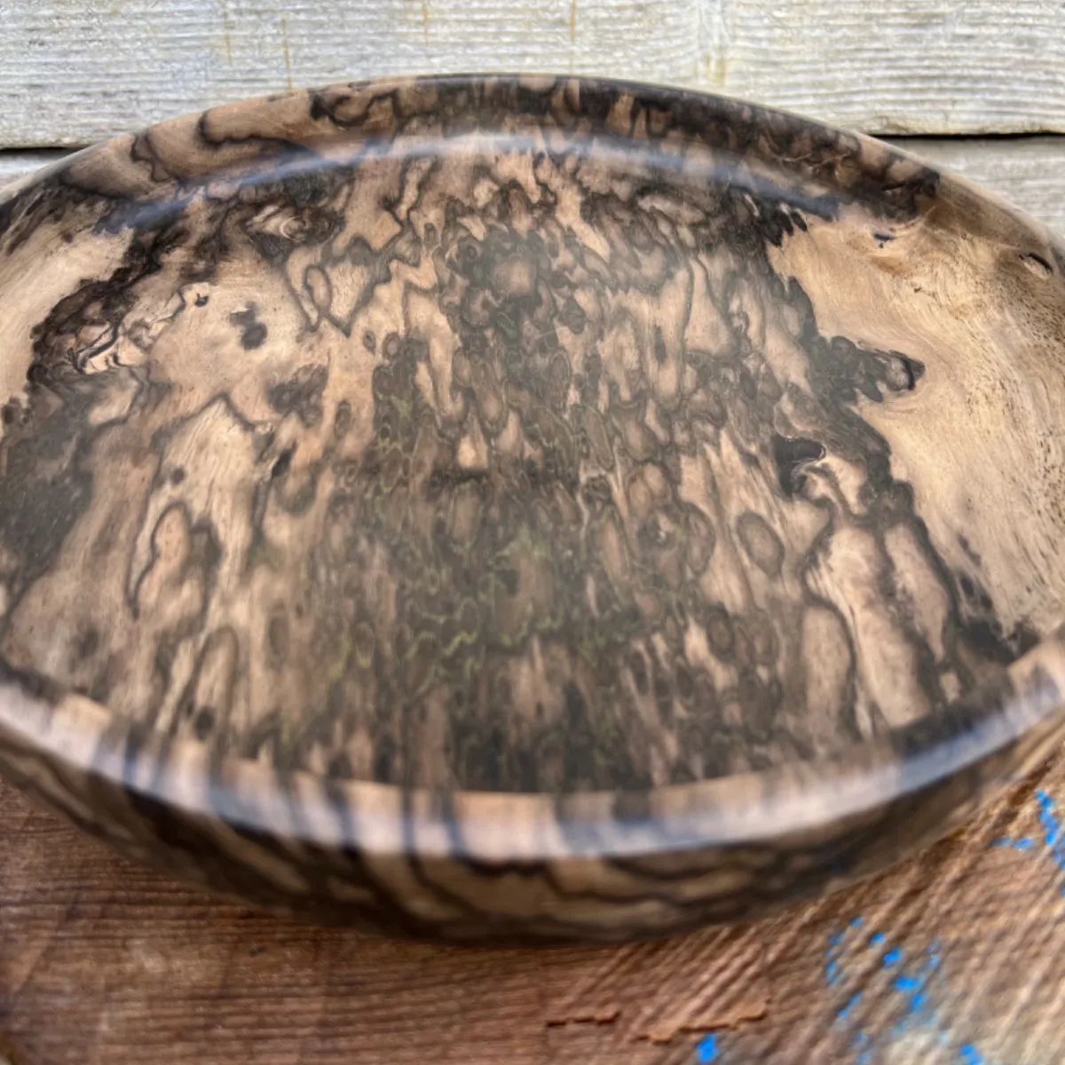 黒柿　丸盆　孔雀杢　銘木　希少品