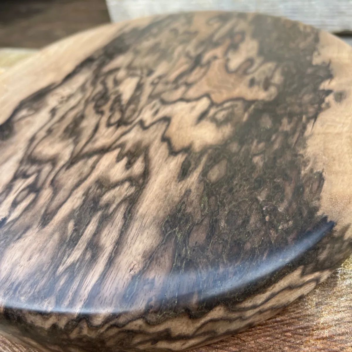 黒柿　丸盆　孔雀杢　銘木　希少品