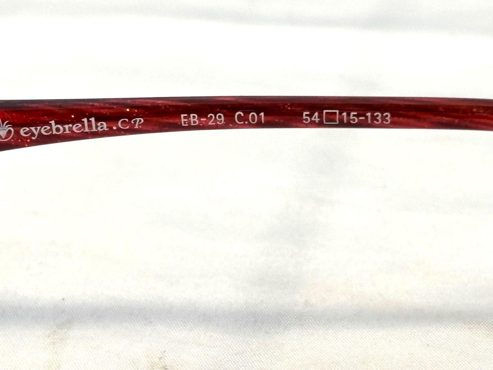 eyebrella EB-29 アイブレラ サングラス EB-29 C.01 54 口15-133