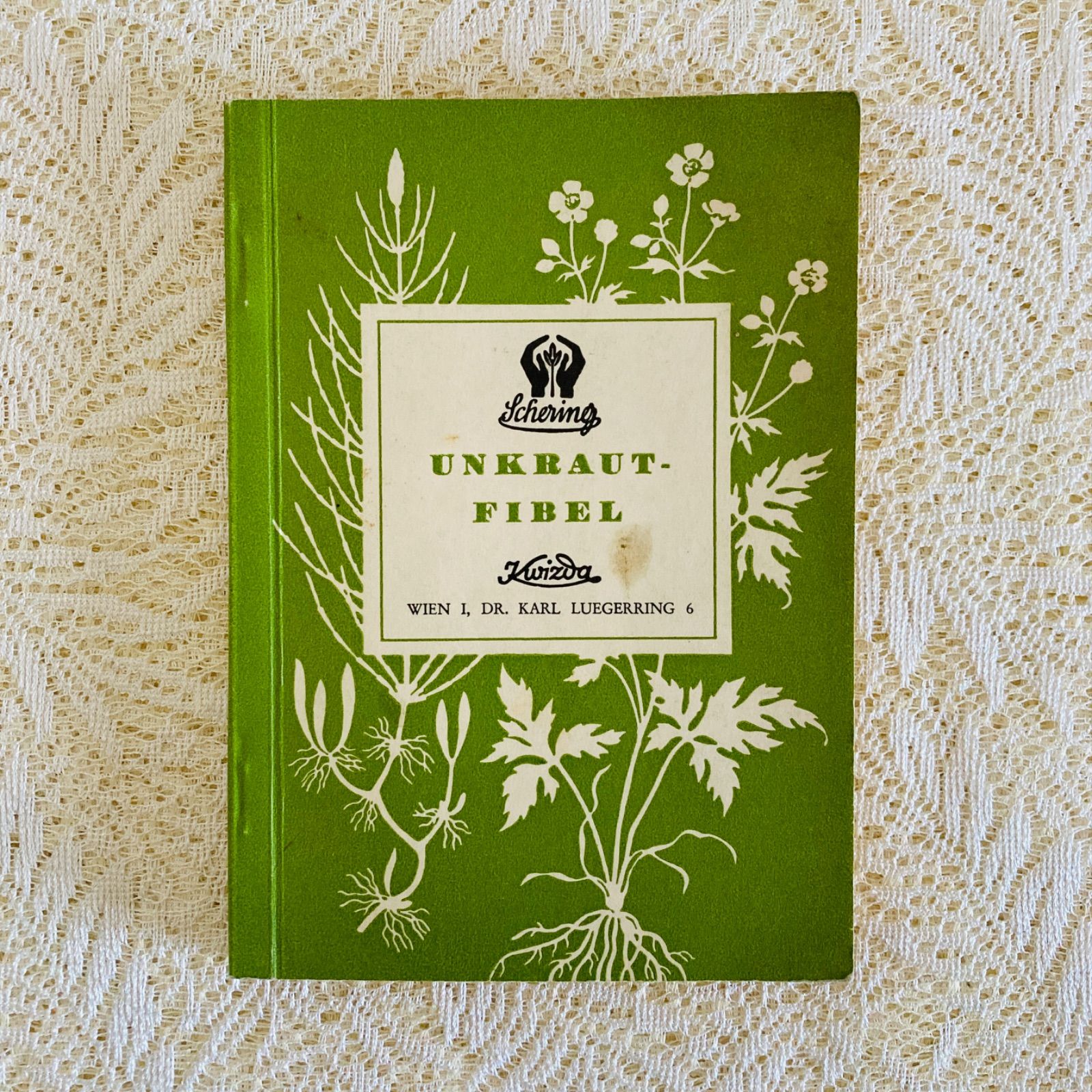 ドイツ語のヴィンテージ野草図鑑 植物図鑑 洋書・古書 - メルカリ