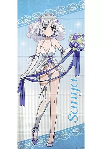 特大布ポスター　サーニャ　　ストライクウィッチーズ 中古】ポスター 特大布ポスター サーニャ・V・リトヴャク 「第501統合