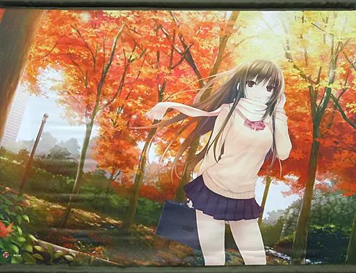 中古】タペストリー 紅葉(珈琲貴族) B2タペストリー - メルカリ