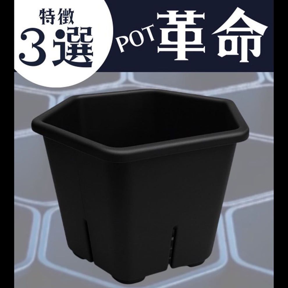 即日発送】HexaPot （ヘキサポット）4号 サイズ 7個セット スリット鉢