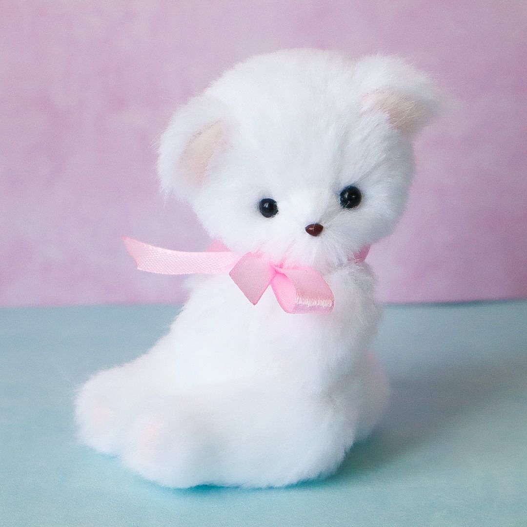 くまこのベア　ホワイトリボン しろくまぬいぐるみリボン 卒業ベアちゃん ホワイトベア シロクマ