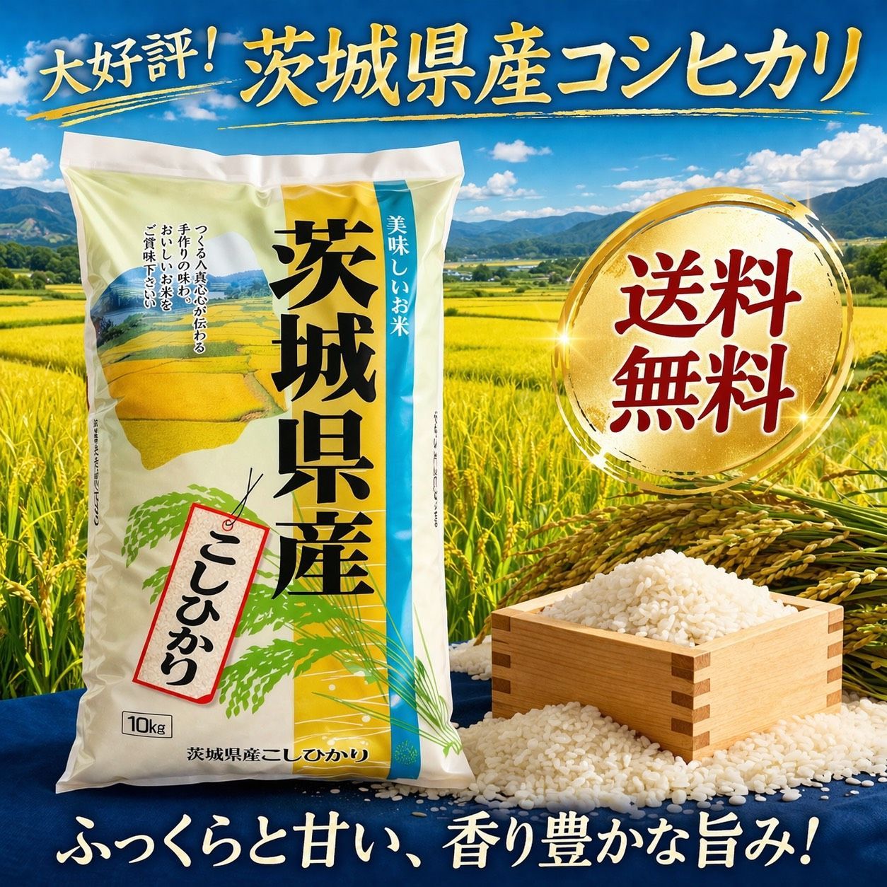 令和7年産】茨城県産コシヒカリ 10kg 精米 送料無料 - メルカリ
