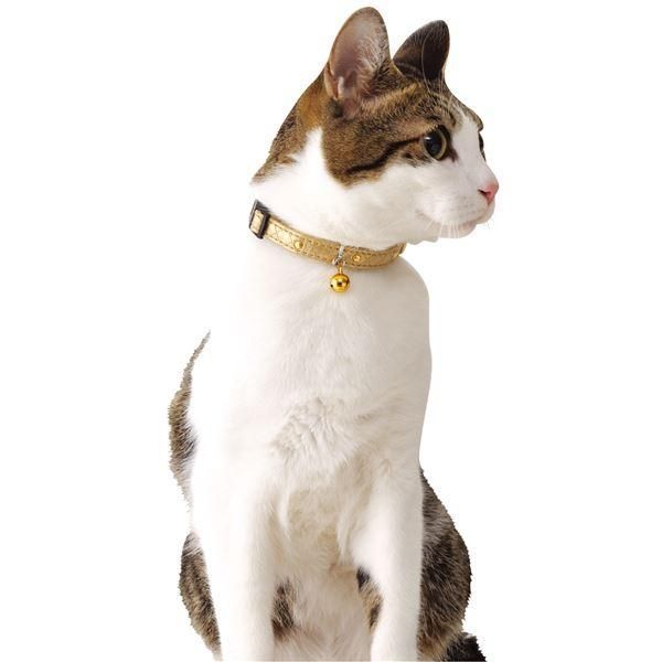 首輪・ハーネス・迷子札 （まとめ）CAT COLLAR ゴージャスカラー