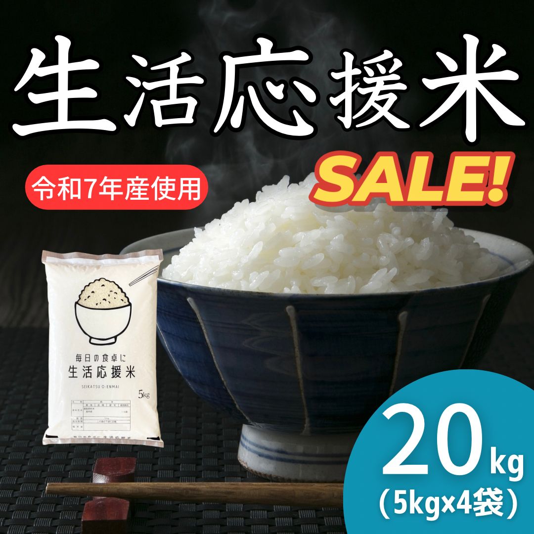 【家計応援米20kg】令和7年産 コシヒカリブレンド米【小粒米】 コシヒカリ 米 20kg 新潟 送料無料 あすつく 5Kg×4 20キロ 令和7年産
