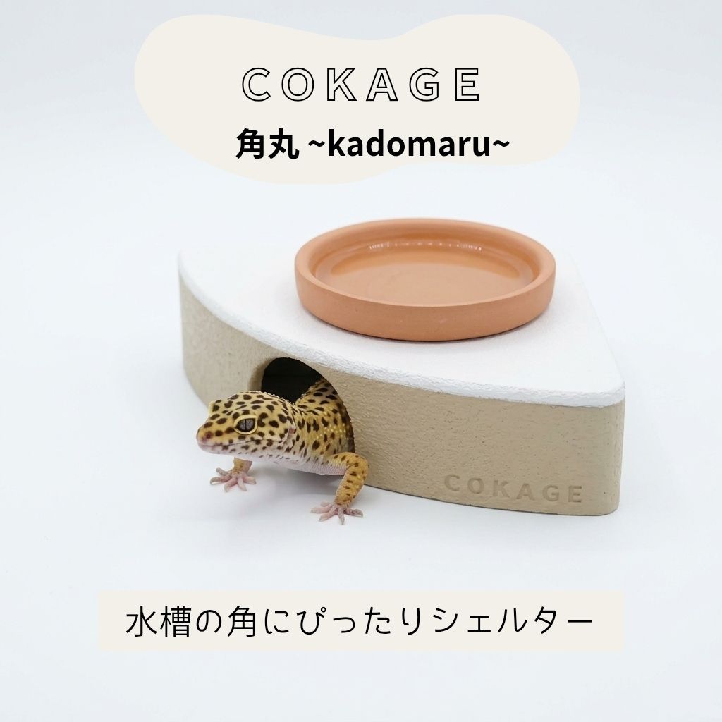 COKAGE爬虫類シェルター【角丸 M】+690円で名入れ対応 角ピッタリ