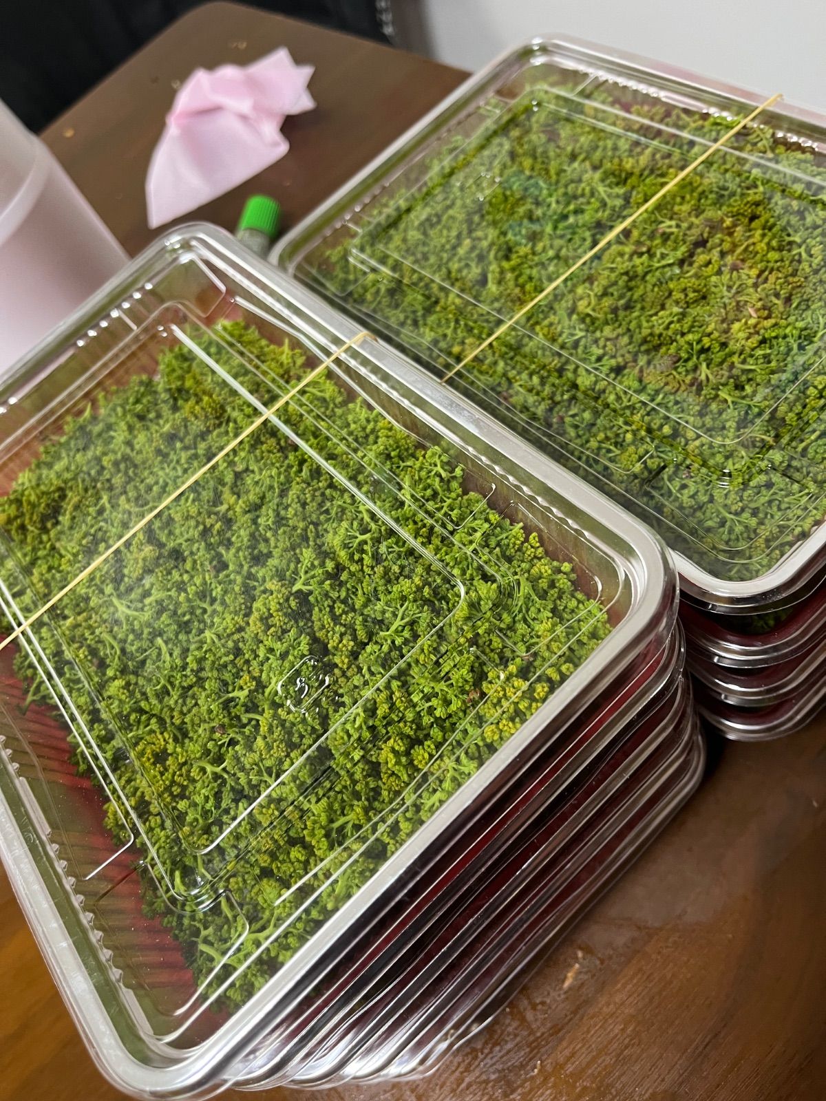Gosさん専用 なおキングの花山椒 300g クール便 - メルカリ