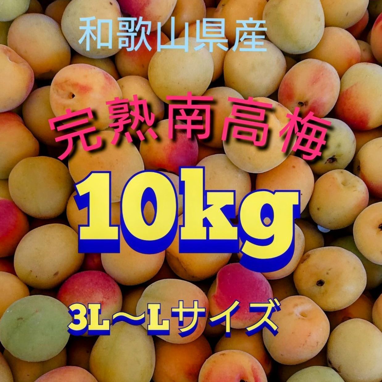 和歌山県産 完熟南高梅 10kg 3L〜Lサイズ - メルカリ